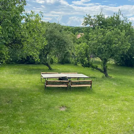 Balaton Family Apartman Appartamento *