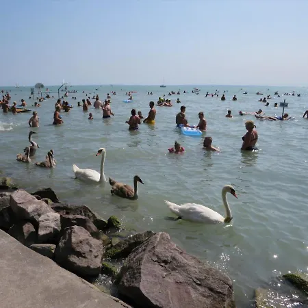 Balaton Family Apartman Appartamento